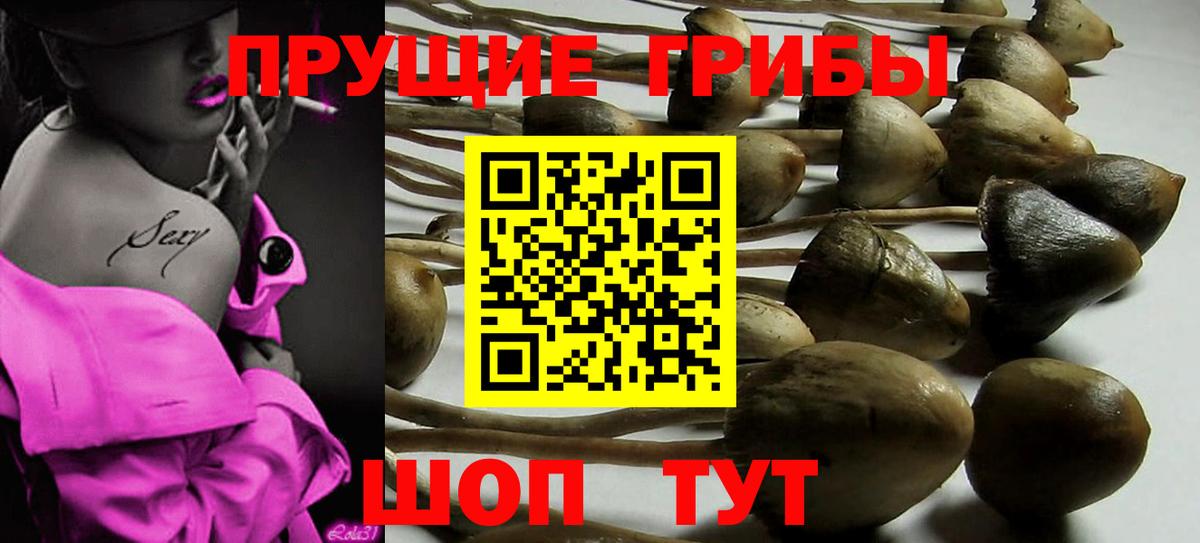 Тихорецк  Псилоцибиновые грибы MAGIC MUSHROOMS  Псилоцибиновые грибы Magic Shrooms  Вход с VPN 