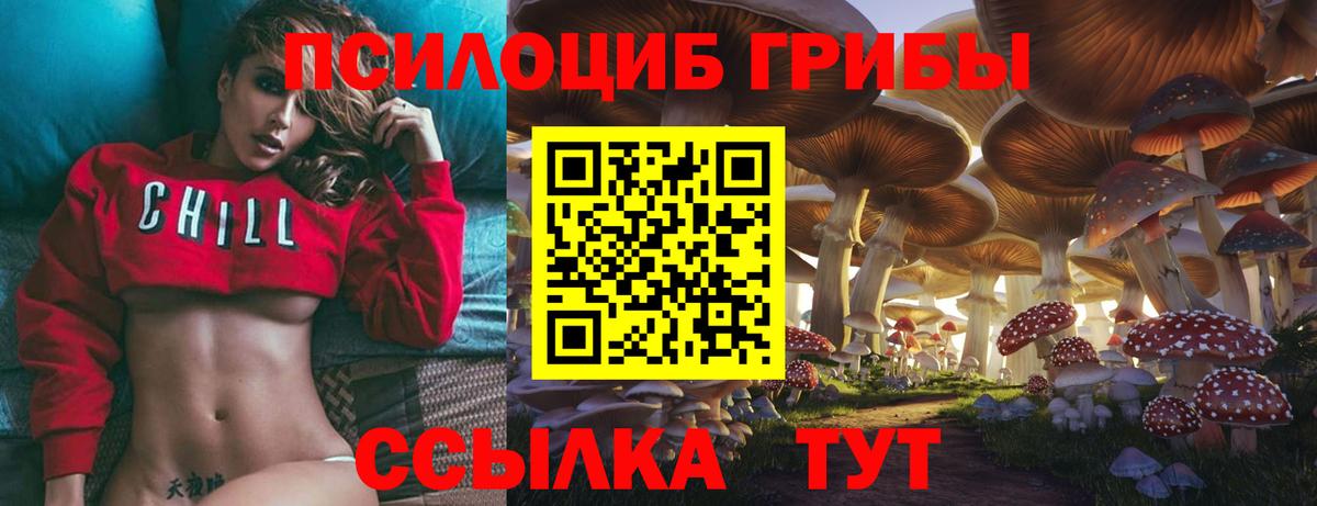 Псилоцибиновые грибы Magic Shrooms Тихорецк